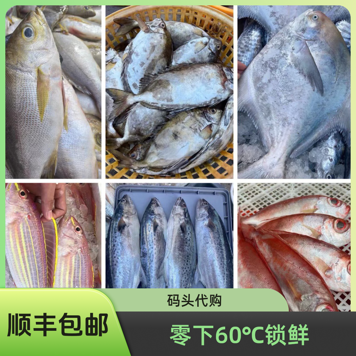 【梅姐】❶北海码头直播代买海鱼虾新鲜海捕（现拍现称 速冻锁鲜发货）