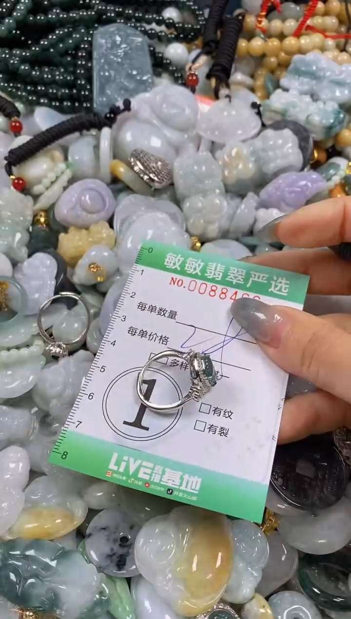 【闪购商品】翡翠颈饰未镶嵌闪购0088466