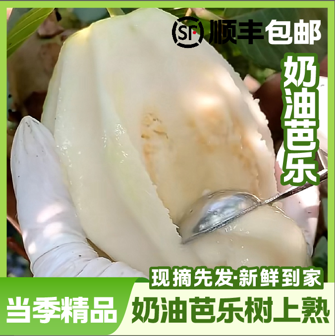 【软芭乐】黄金奶油软糯番石榴芭乐现摘现发（顺丰包邮）