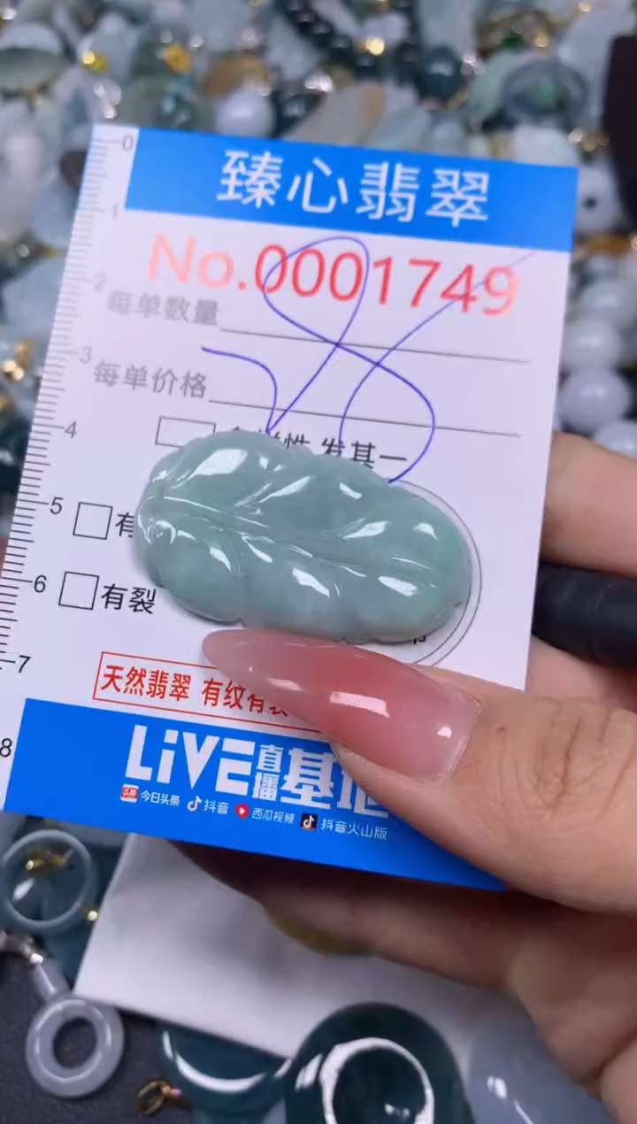 【闪购商品】翡翠颈饰未镶嵌含绳0001749