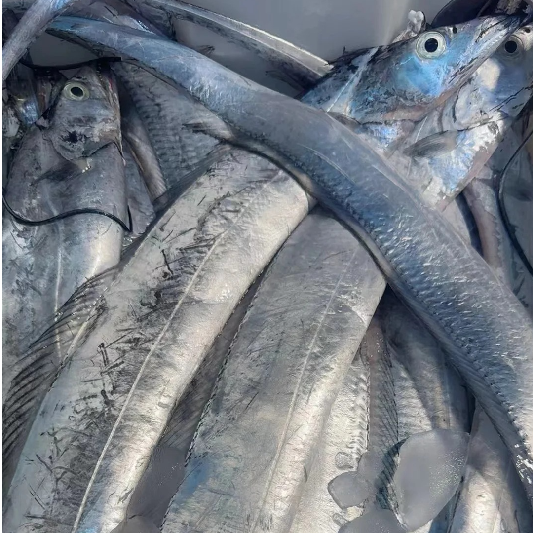 【三条装】伊朗进口AA级顶带500/700