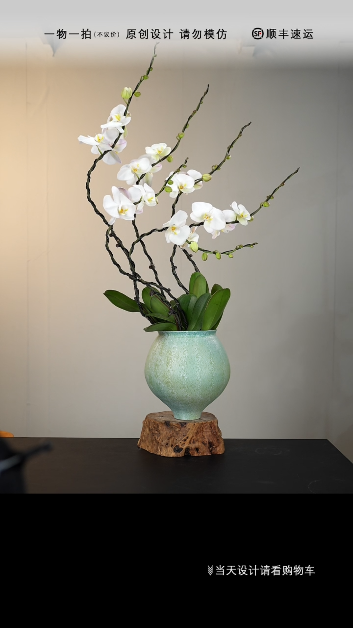 【闪购商品】019号链接【一物一拍】艺术盆景