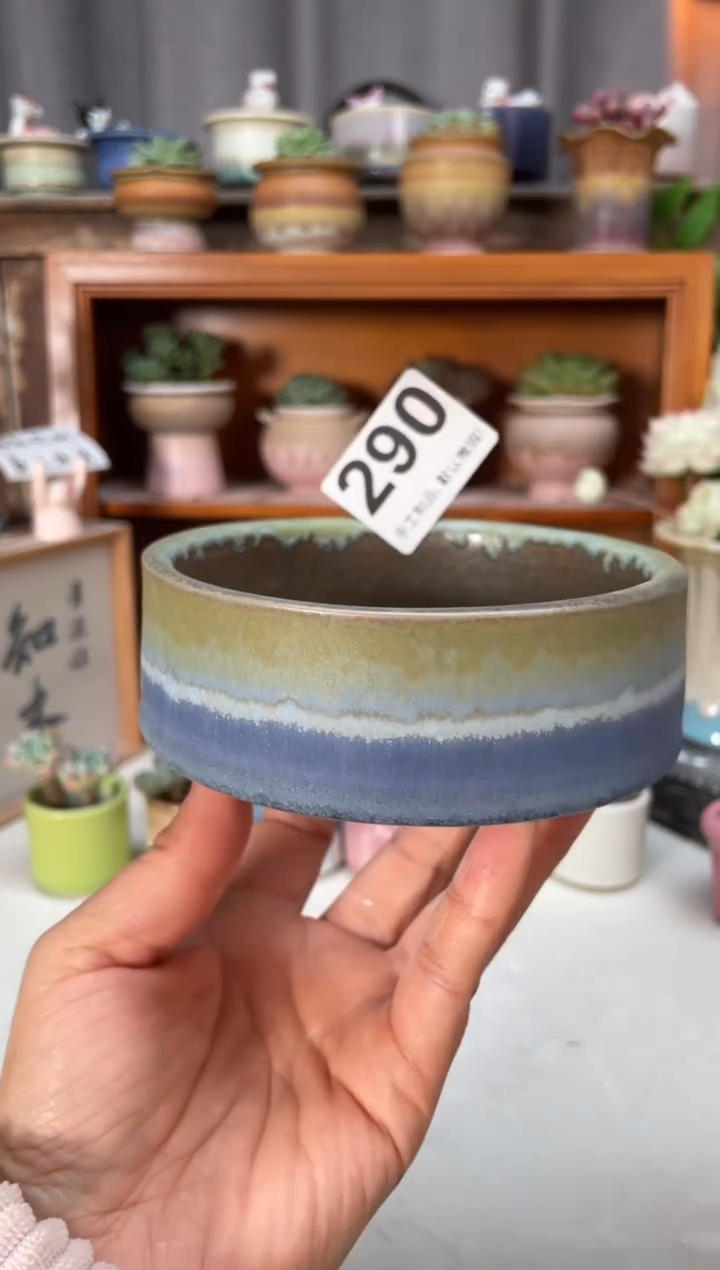 瓷片290小芳直播编号