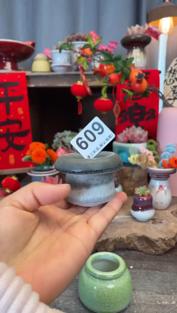 【闪购商品】摆件609知木小芳花盆