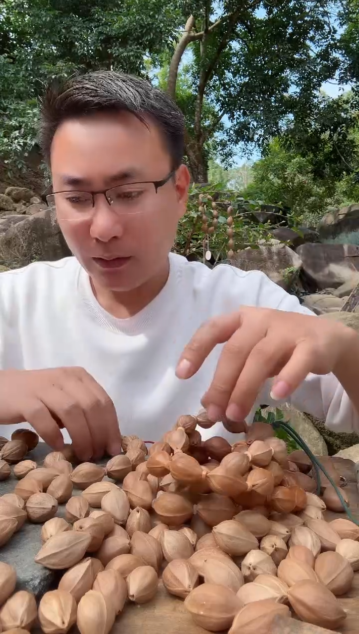 【闪购商品】橄榄核手串1624精三面佛梅林铁核原生手串1380