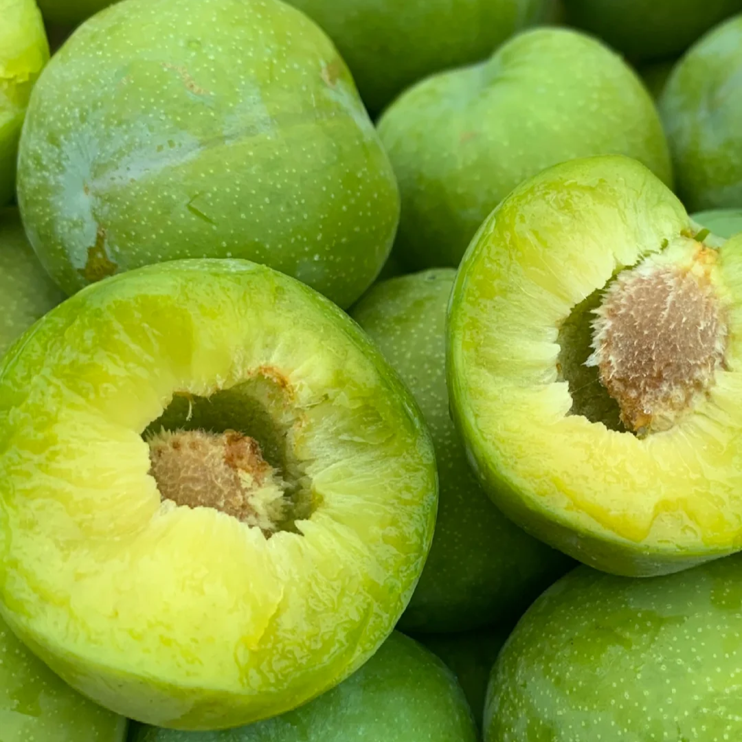 【自家果园的青脆李】应季李子青脆李新鲜水果现摘现发香甜爽口脆爽