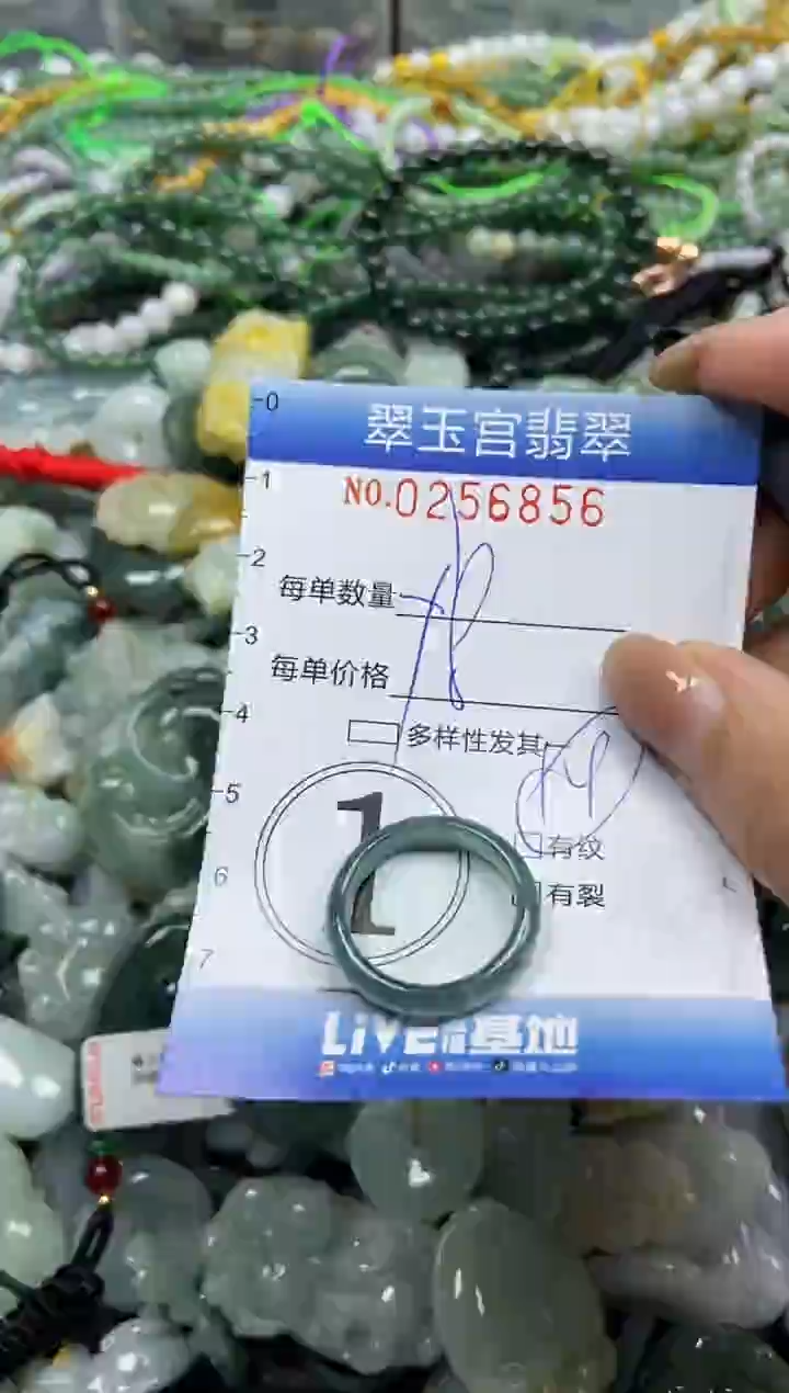 颈饰未镶嵌翡翠闪购C0256856