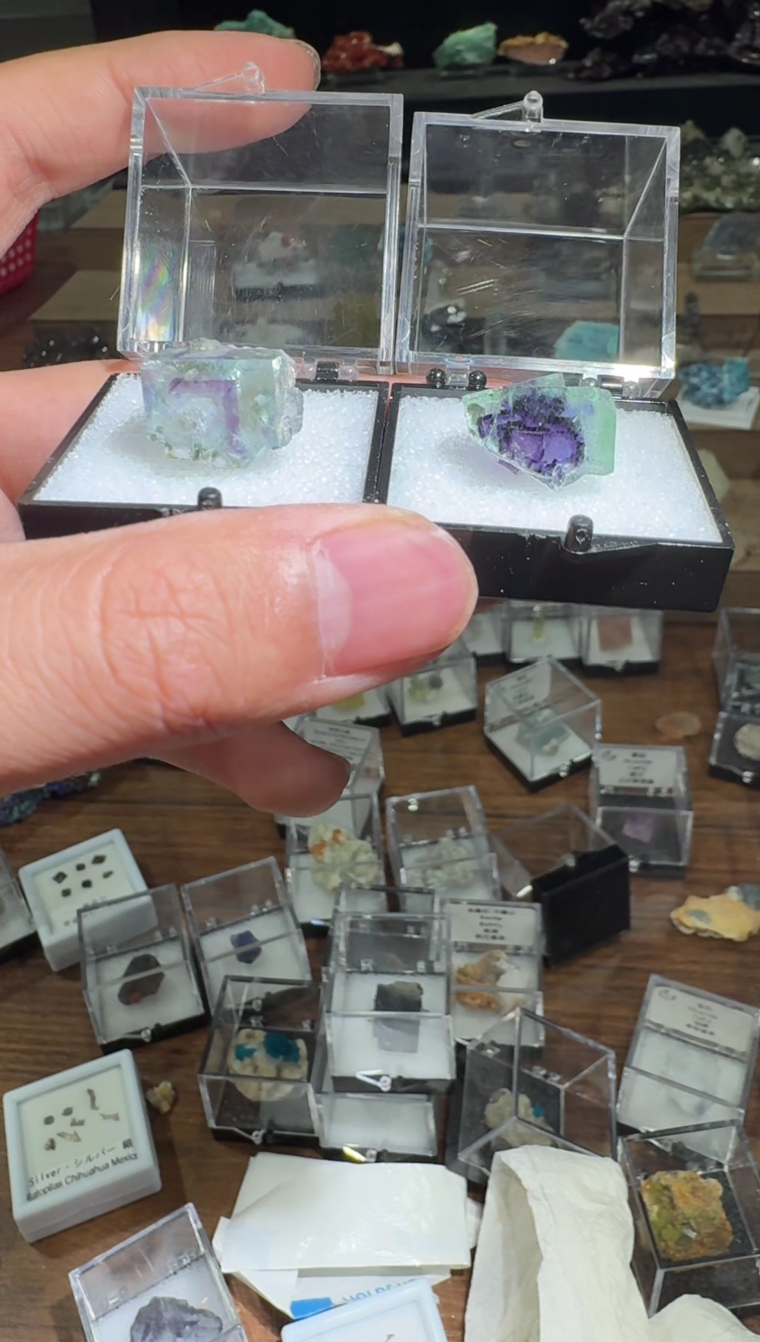 【闪购商品】月下珠宝严选矿物