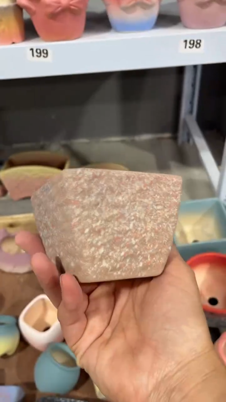 【闪购商品】红陶8*7