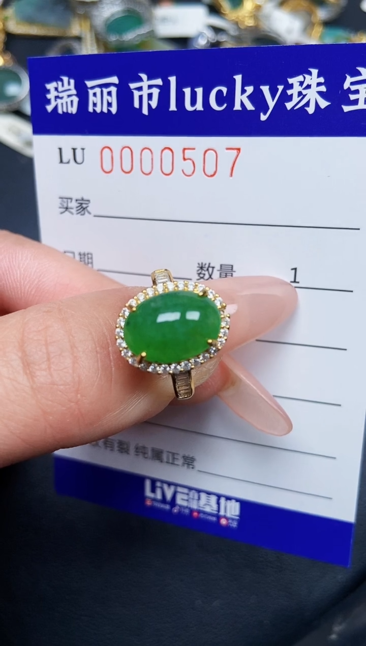 【闪购商品】翡翠颈饰银S925镶嵌0507