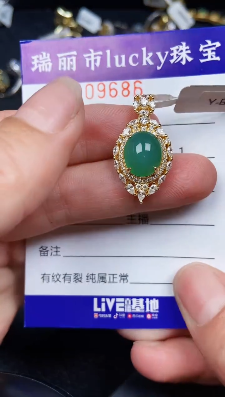 翡翠银S925镶嵌颈饰9686