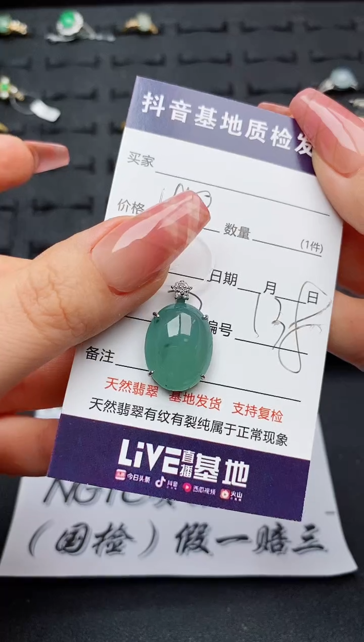 翡翠银S925镶嵌颈饰............
