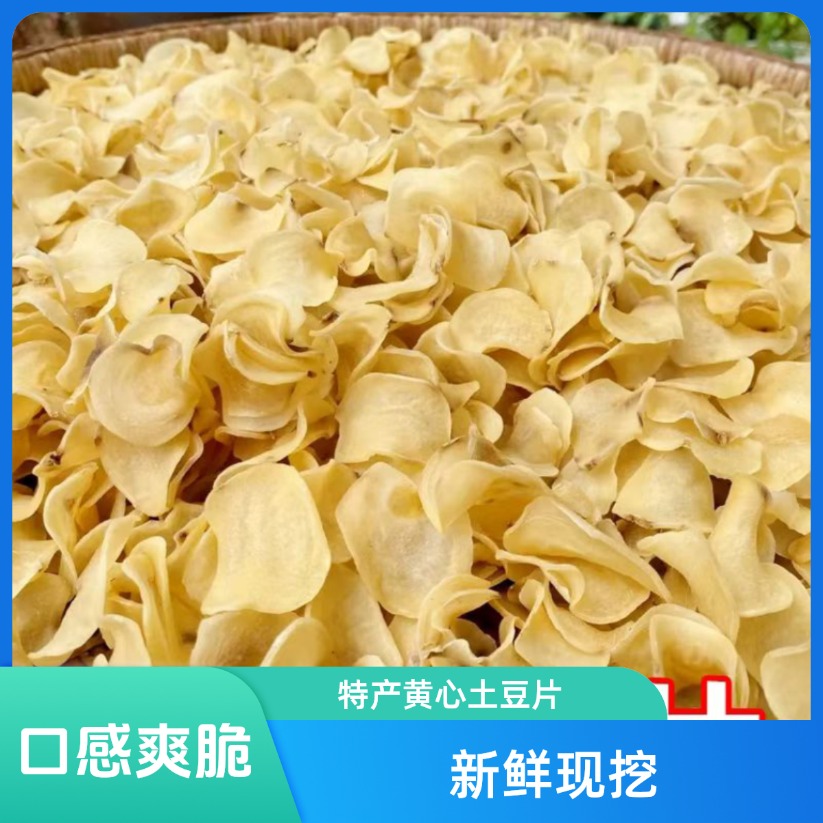 黄心土豆片干洋芋片马铃薯手工农家晒干半成品干货批发