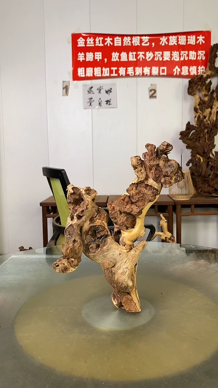 木宝****烤金丝红木 羊蹄甲