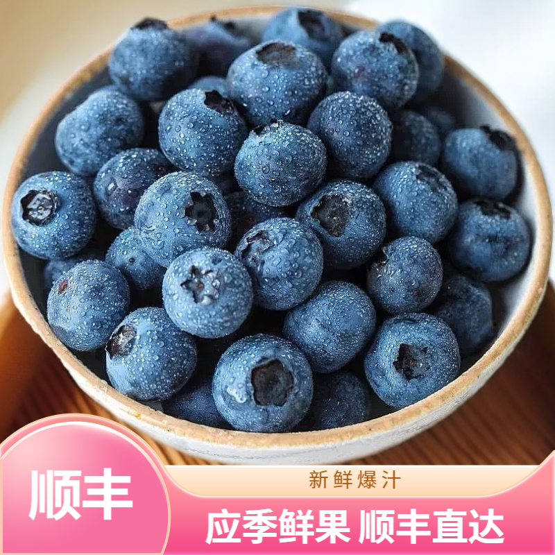 顺丰【蓝莓尝鲜小果】12-15mm新鲜采摘应季蓝莓鲜果酸甜爆汁100g/盒