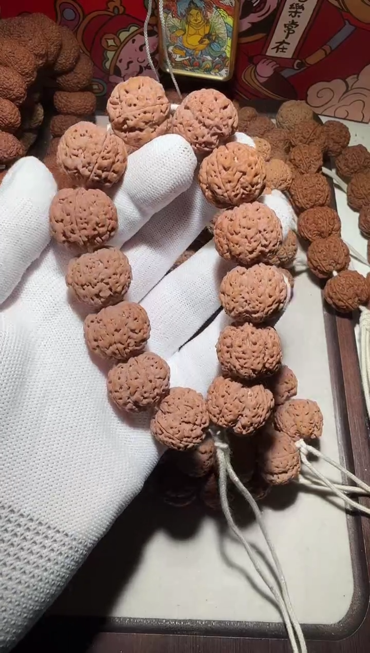 【闪购商品】金刚菩提手串超头针孔粗筋双龙22