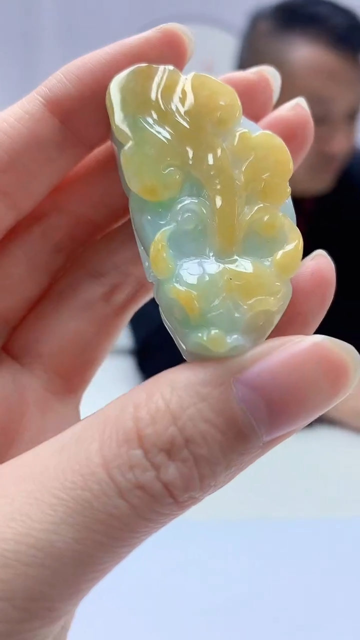 【闪购商品】定制翡翠未镶嵌4969zm-毛货挂件142貔貅