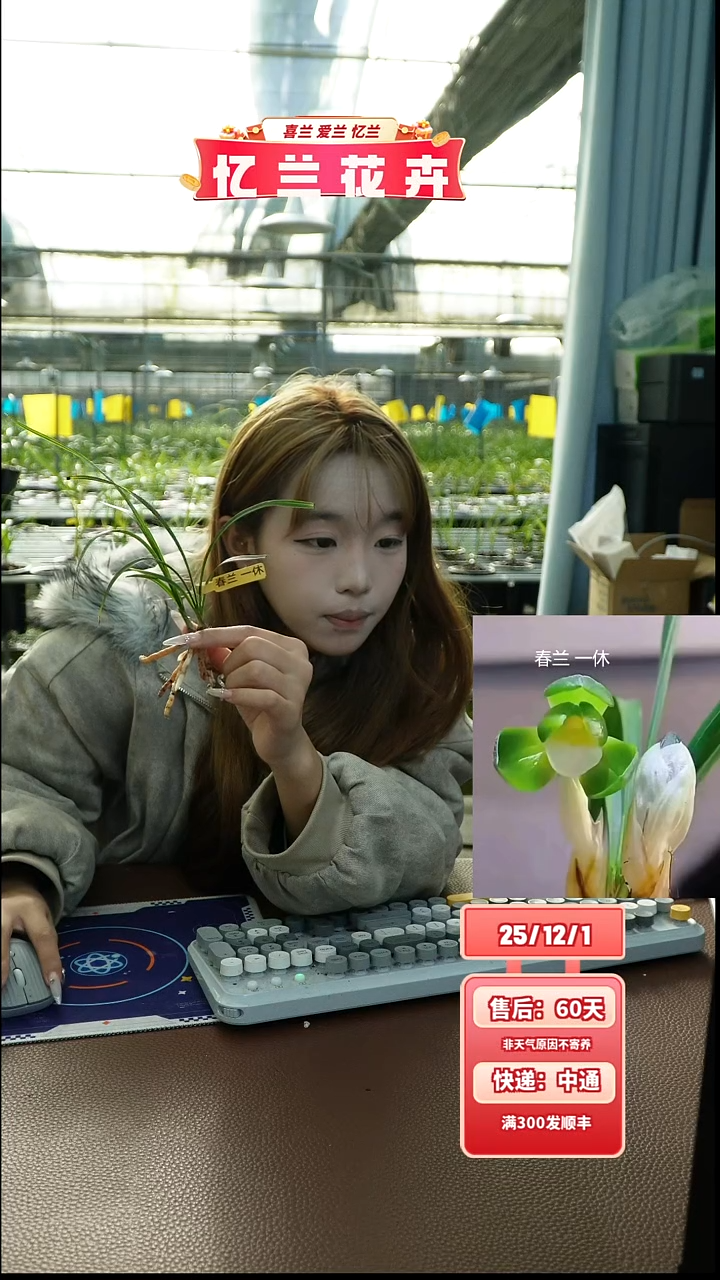 当前无花栽培后可以开花一休