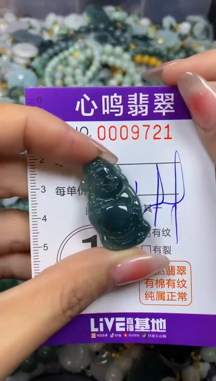 【闪购商品】翡翠颈饰未镶嵌闪购009721