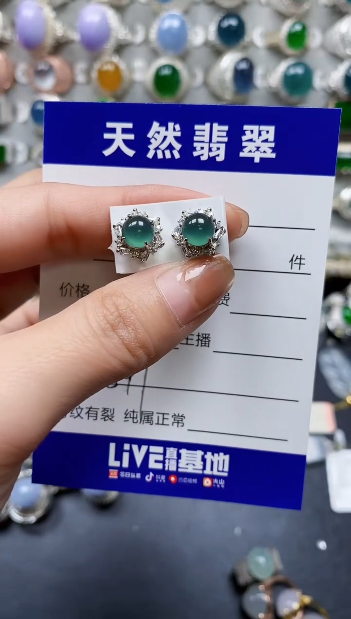 【闪购商品】翡翠耳饰银S925镶嵌0597
