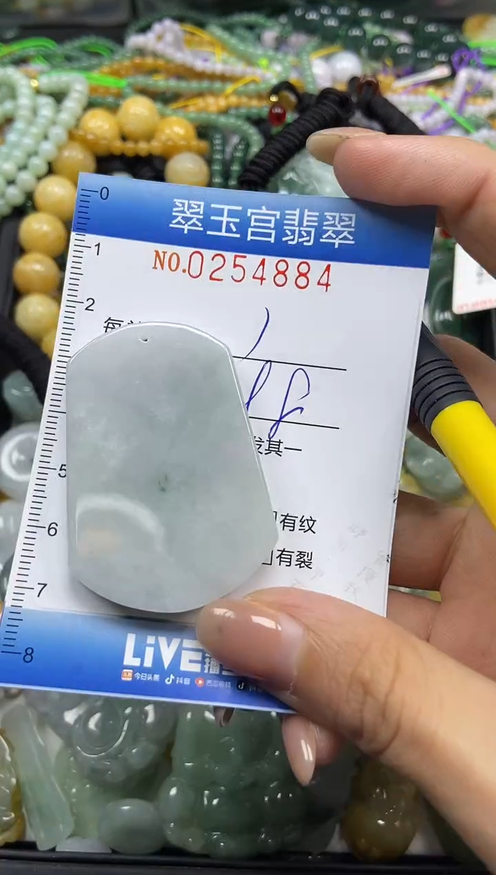 颈饰未镶嵌翡翠闪购C0254884