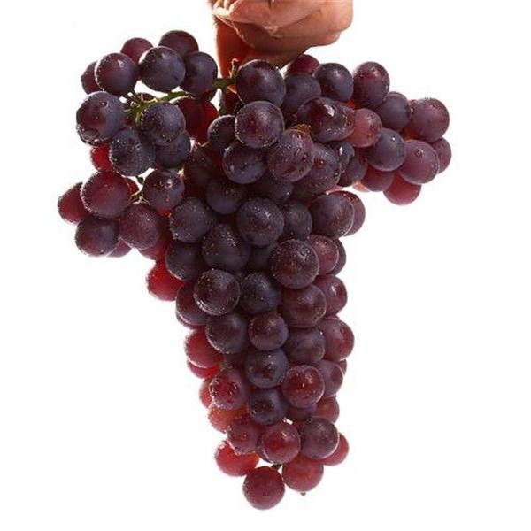 【五泉精选】精品葡萄800g-1000g