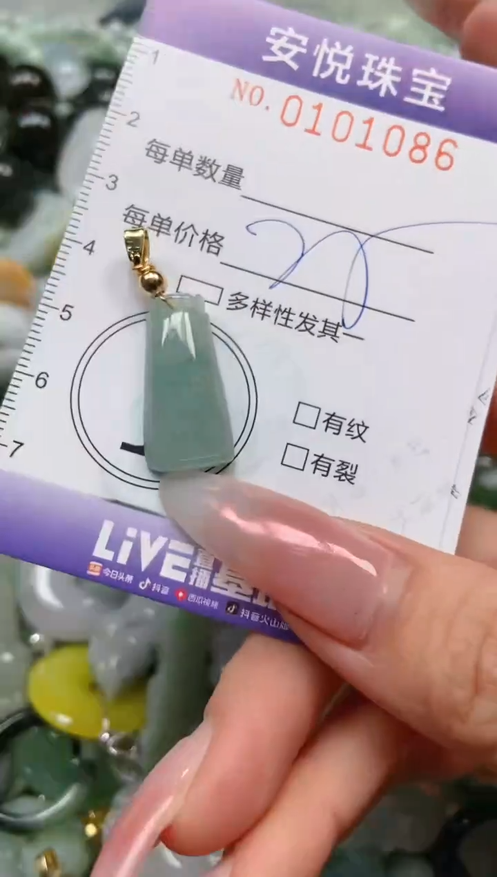 【闪购商品】翡翠颈饰未镶嵌闪购0101086