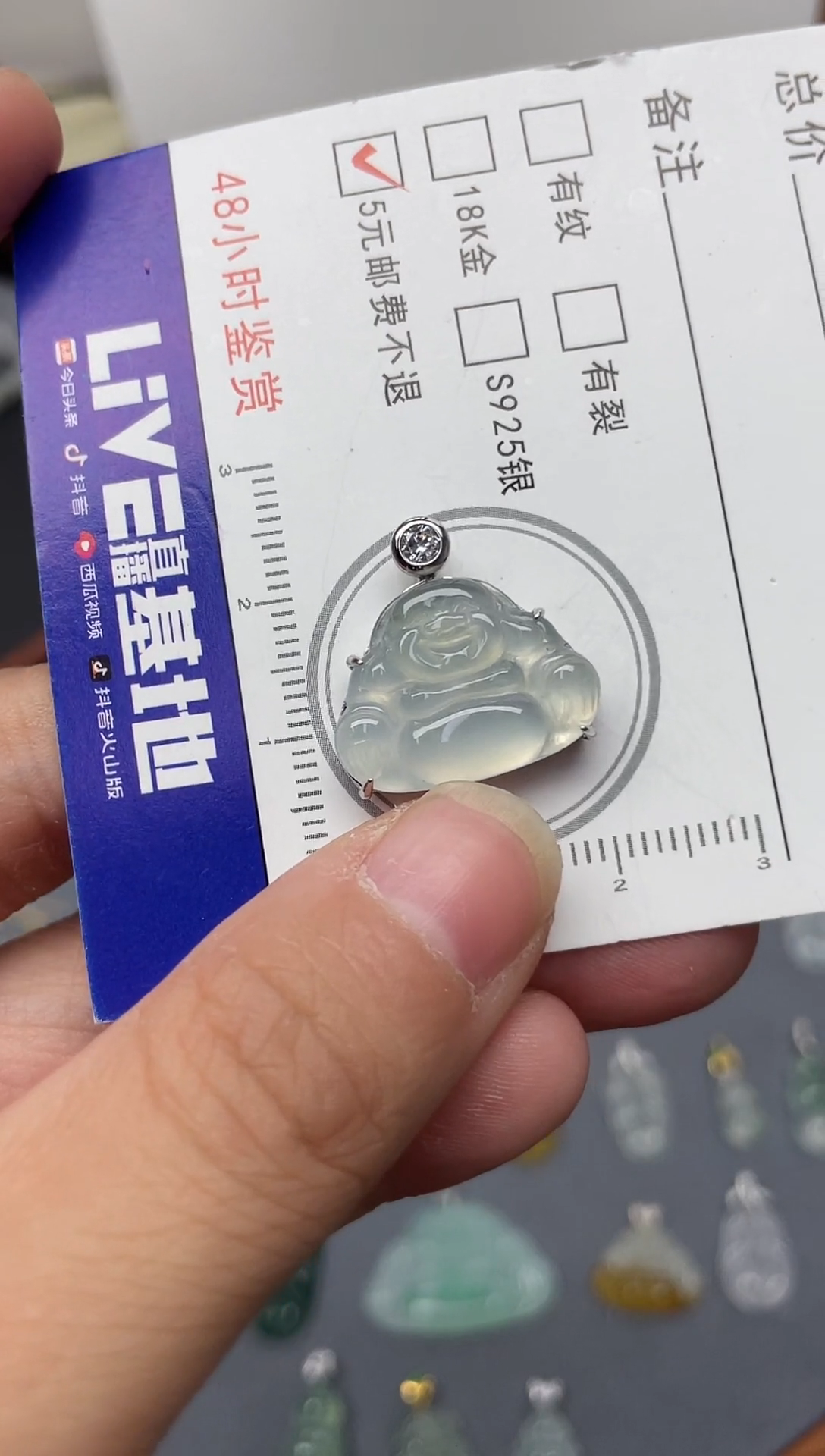 颈饰银S925镶嵌翡翠（9号链接）纯天然A货缅甸翡翠