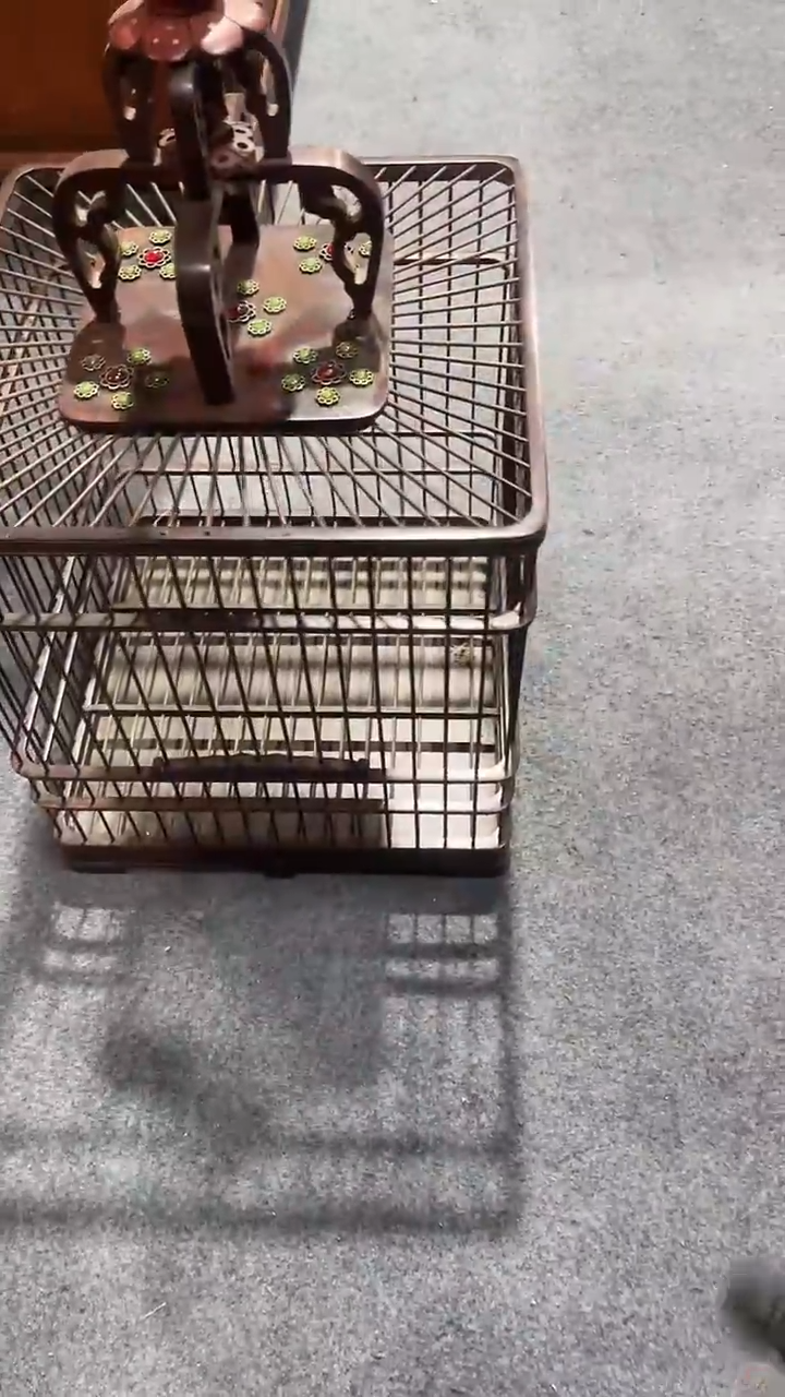 木简约淘木舍直播链接