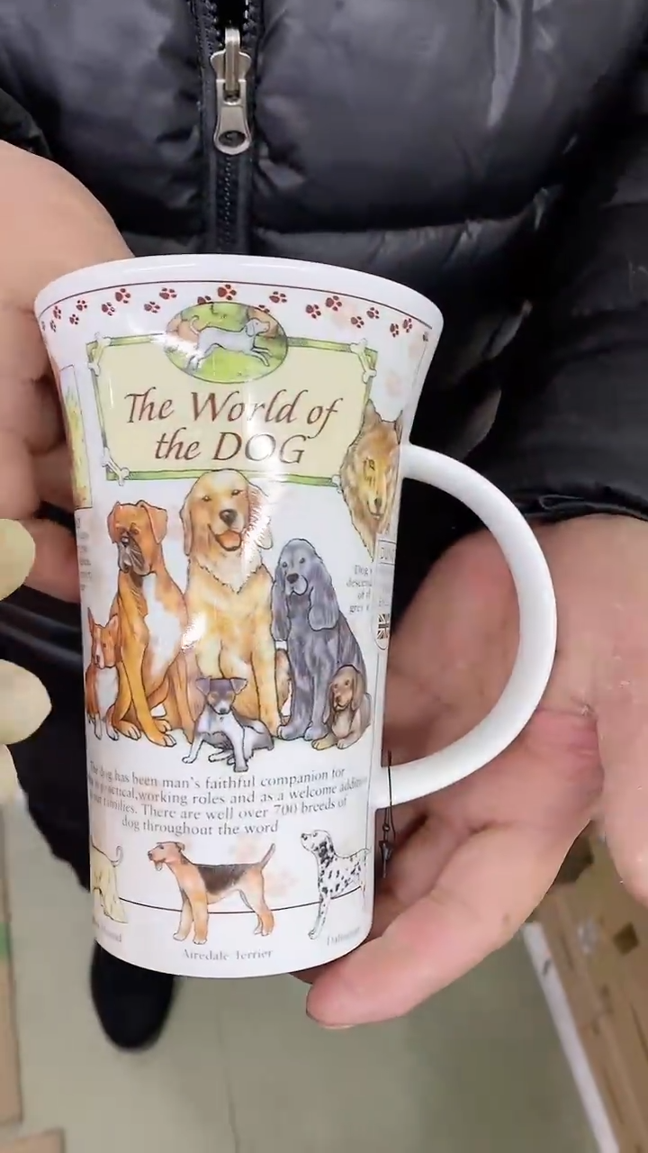 【闪购商品】瓷片1111111111111111