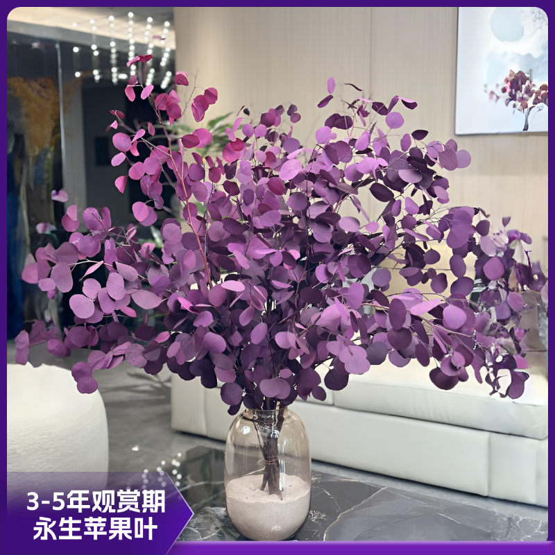  【苹果尤加利叶】氛围感高端小众花材 永生花  桌面款 落地款