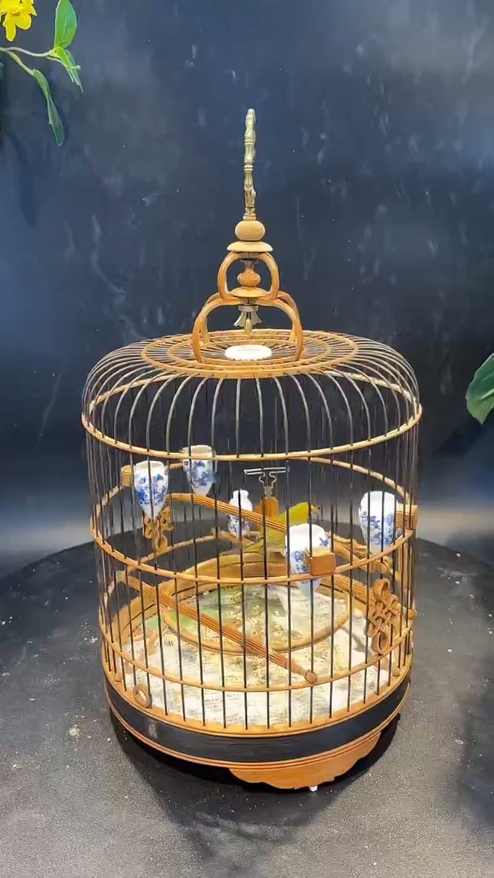 21号  绣眼养笼  0元起拍