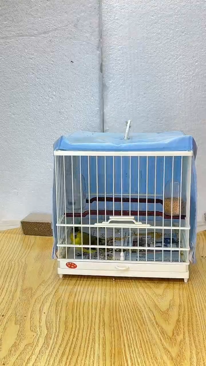 40号黄雀养笼0元起拍