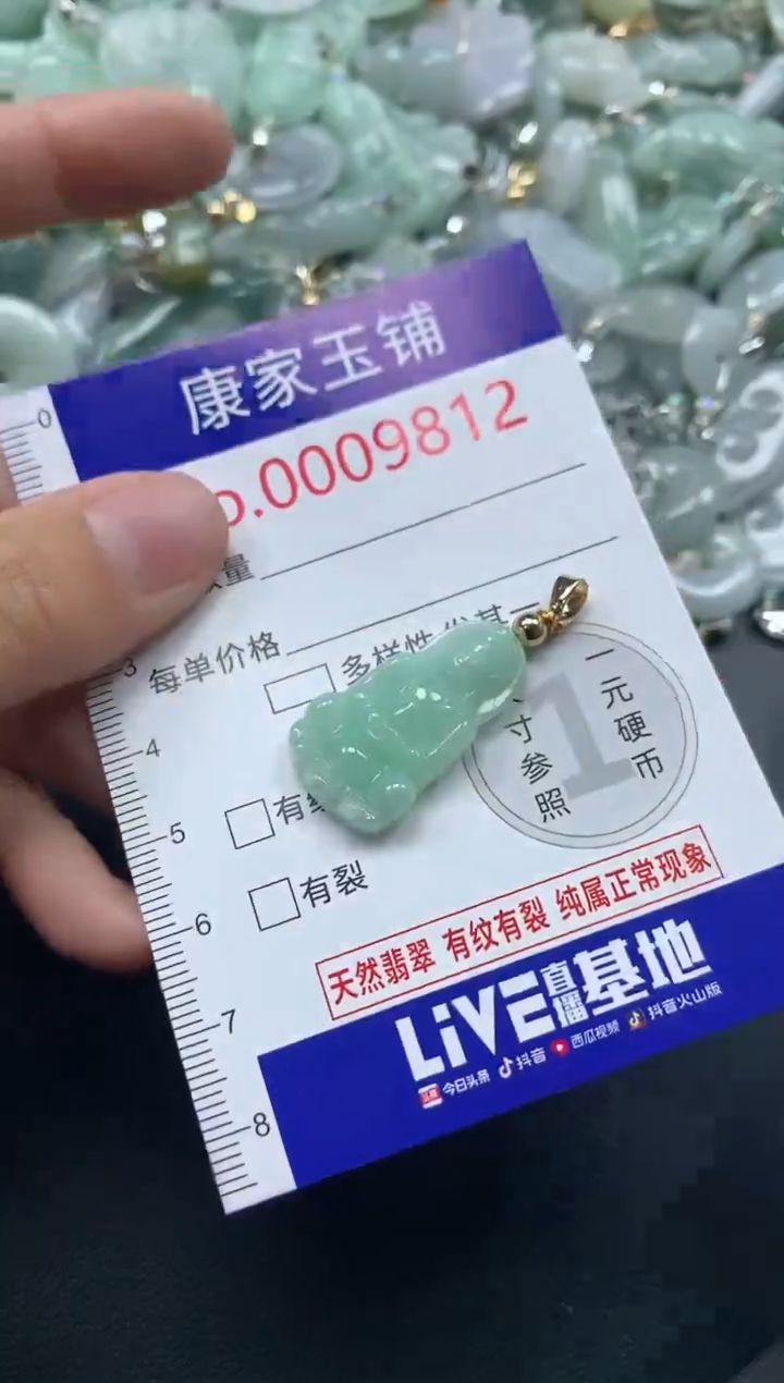 颈饰未镶嵌翡翠9812