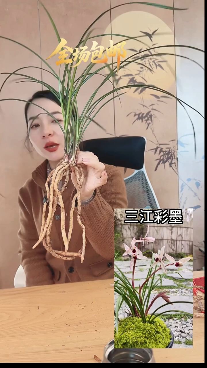 当前无花栽培后可以开花：三江彩墨