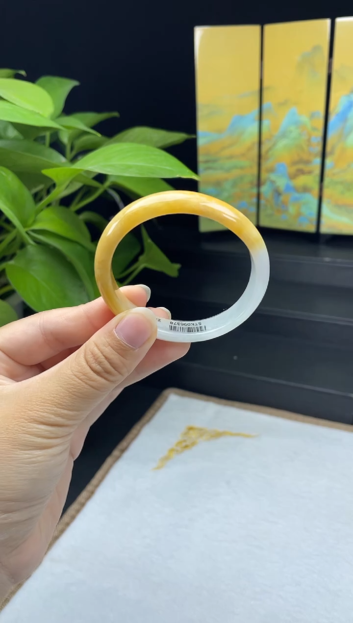 未镶嵌05#定制翡翠天然A货翡翠手镯50-51正圈圈口（贵妃）