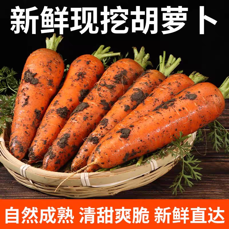 【5斤整箱】鲜胡萝卜沙土地蔬菜水果红萝卜现挖农家自种新鲜健康
