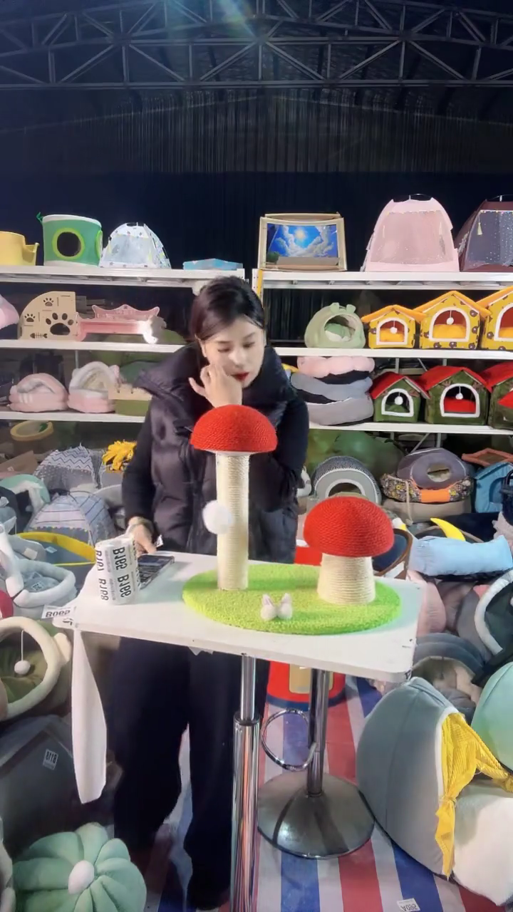 B163清仓处理微瑕宠物用品