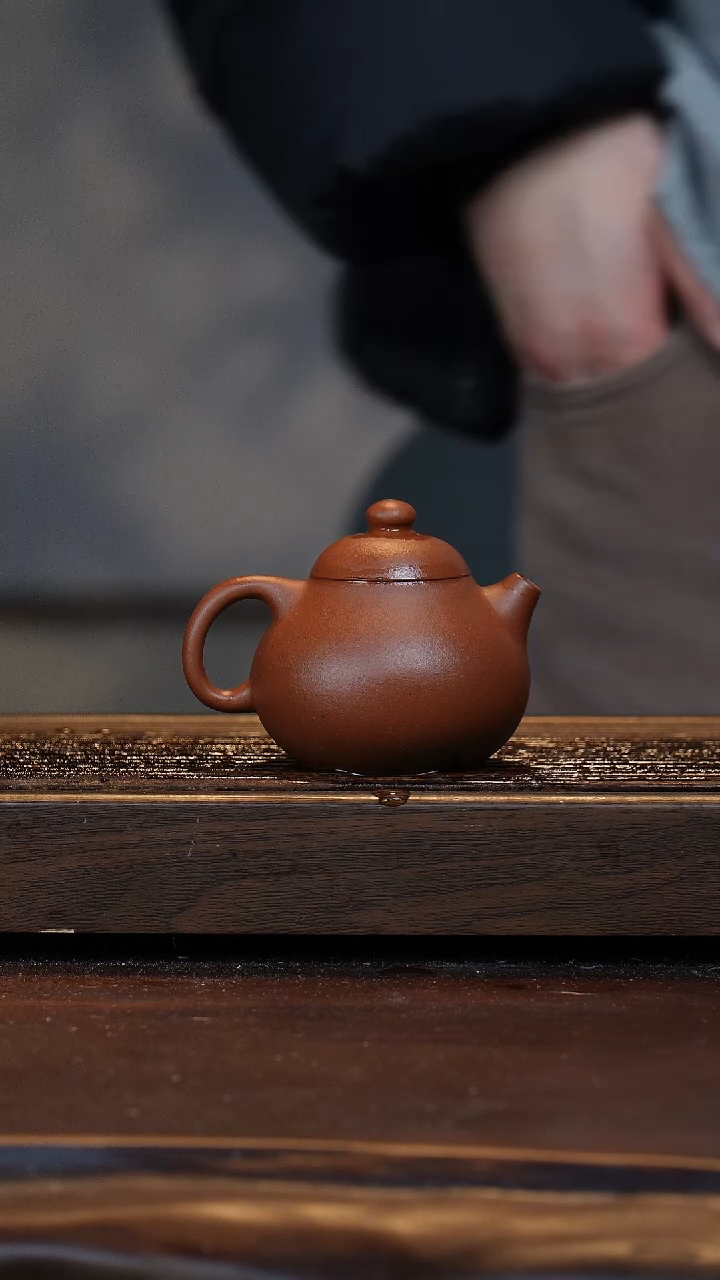 【闪购商品】紫砂茶壶开年福利文旦