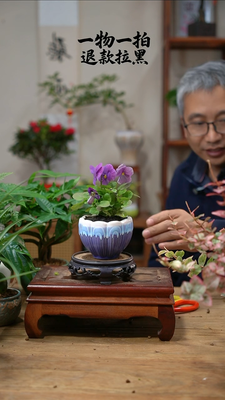 完全开放爱****虾020角堇