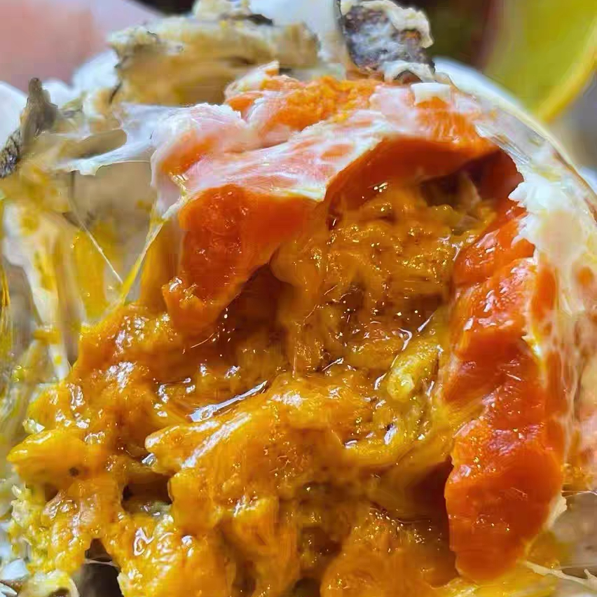 【活蟹】1.5-1.8两全母蟹  10只鲜活  川渝包邮 不绑腿 河蟹