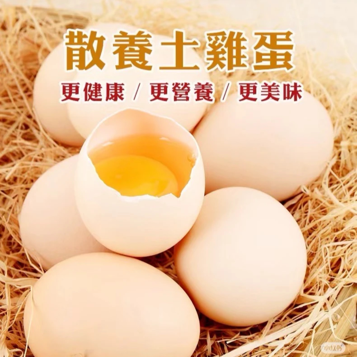 贵州老乡福利次日达 土鸡蛋买30送20到手（50个）