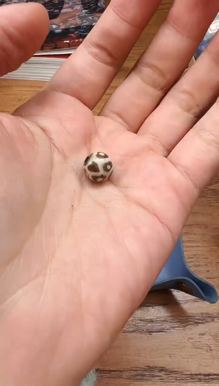 【闪购商品】木变石颈饰未镶嵌【 肖钟出品 】