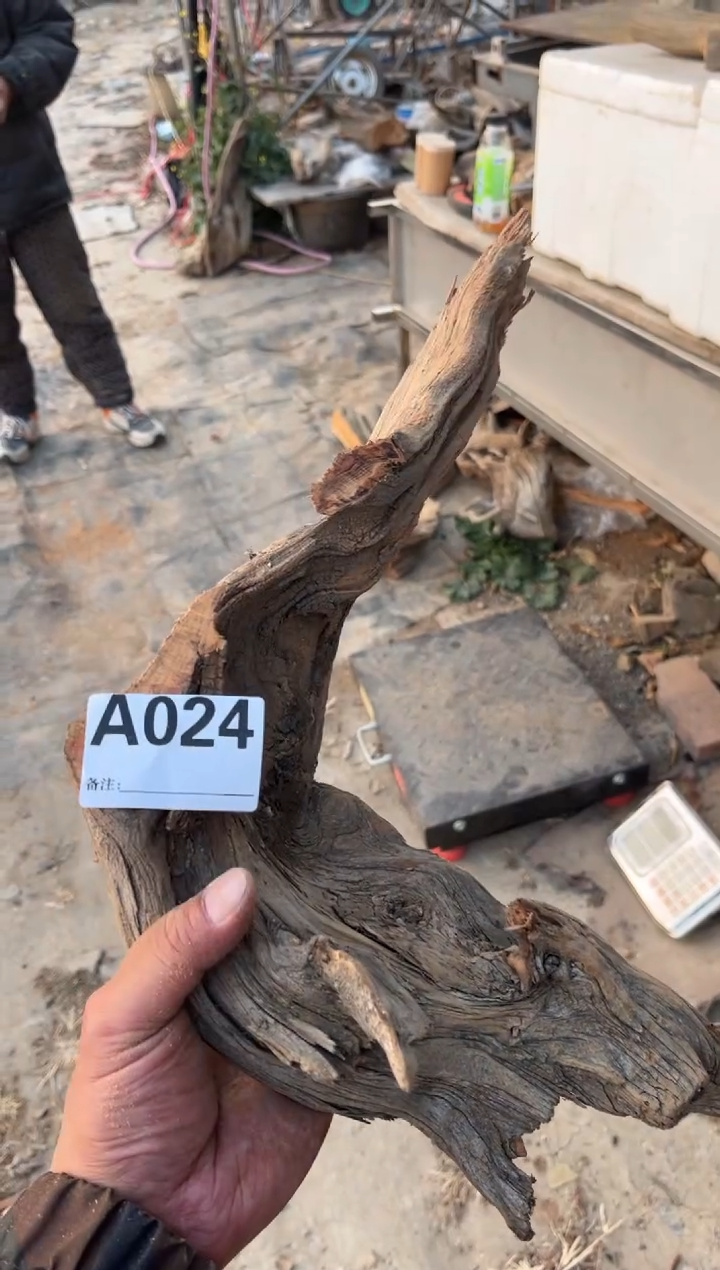 柏木（崖柏）太行崖柏型料