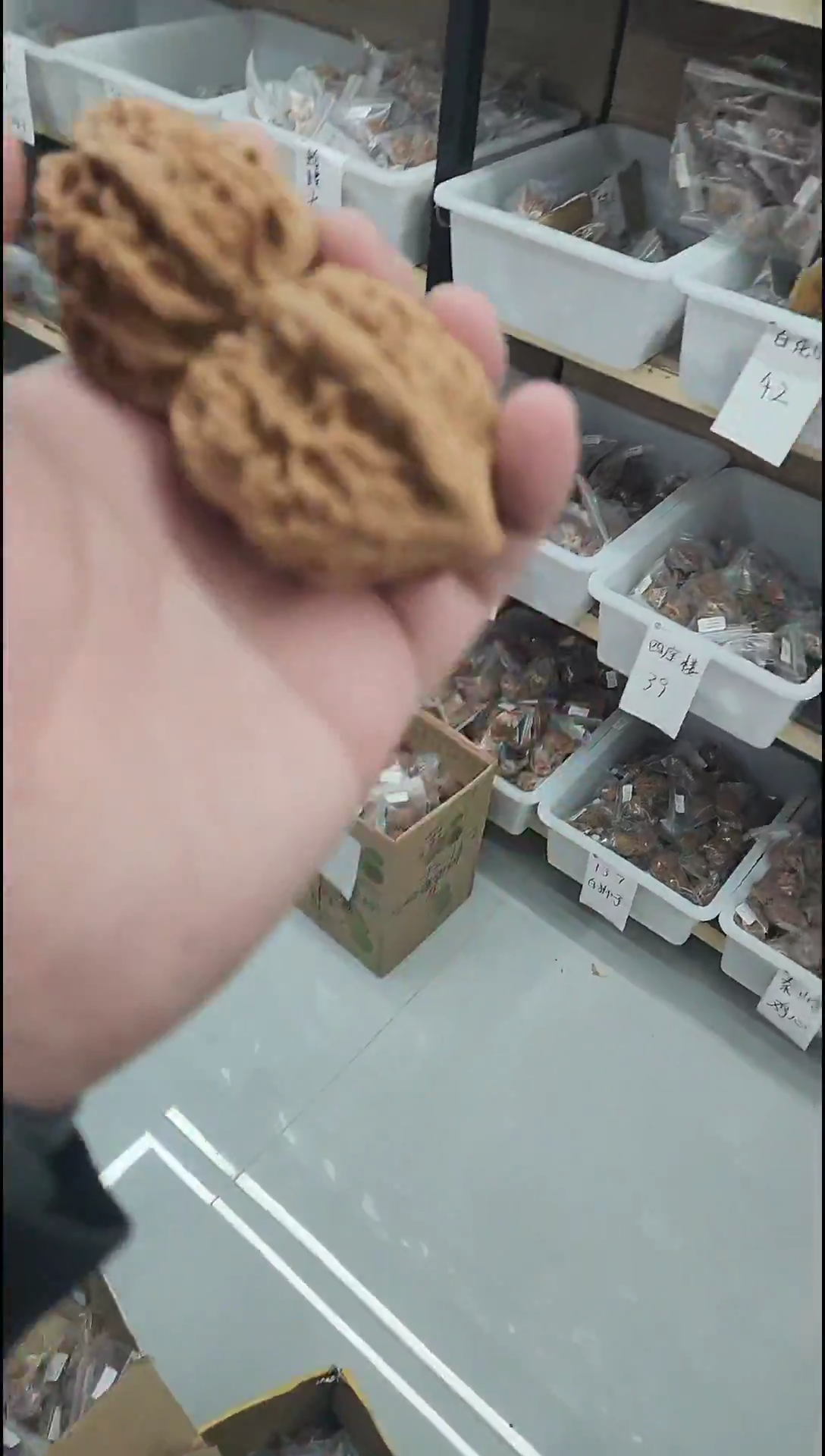 把件核桃打底老鸡心福利#440977