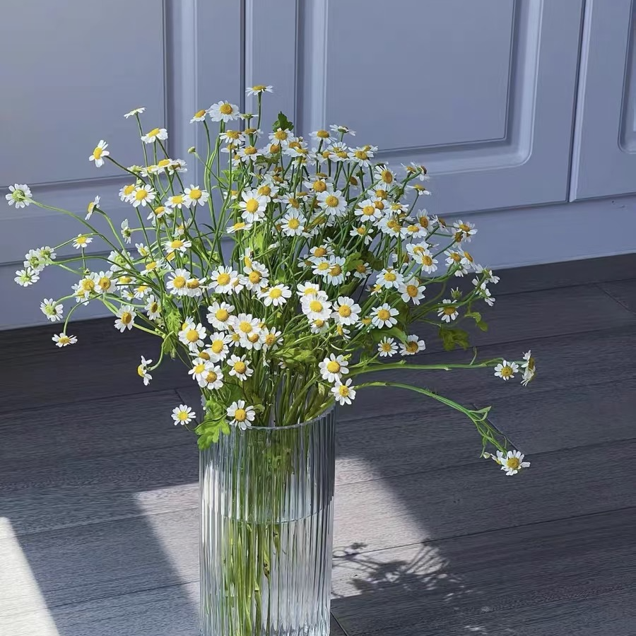 【AB级洋甘菊】福建次日达顺丰包邮厦门实体同城鲜花批发