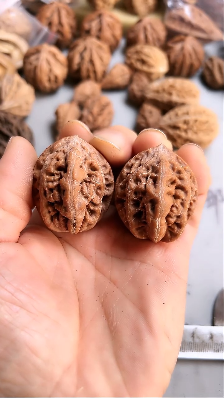 核桃东北野生大秋子1