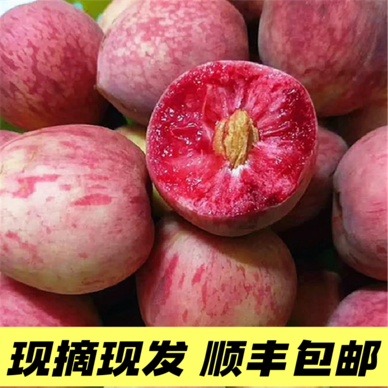 【顺丰包邮】湖北孝感正宗胭脂红血桃｜应季新鲜水果