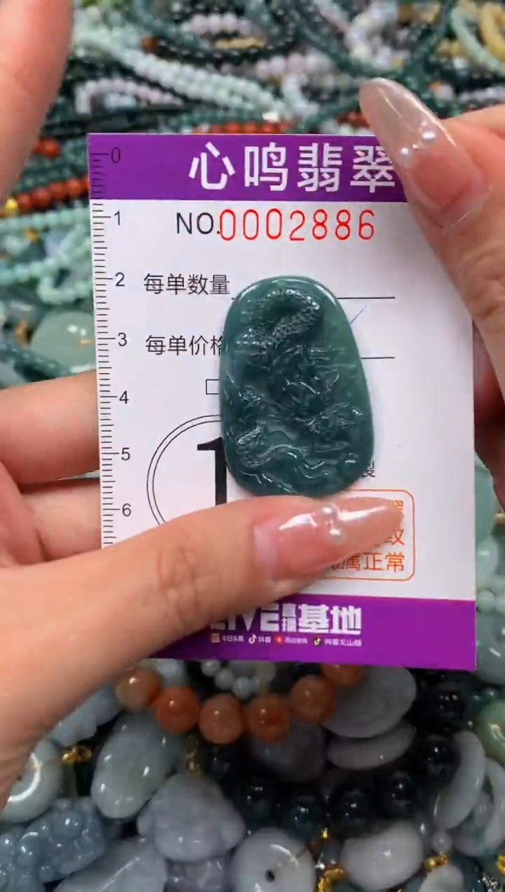 颈饰未镶嵌翡翠闪购002886