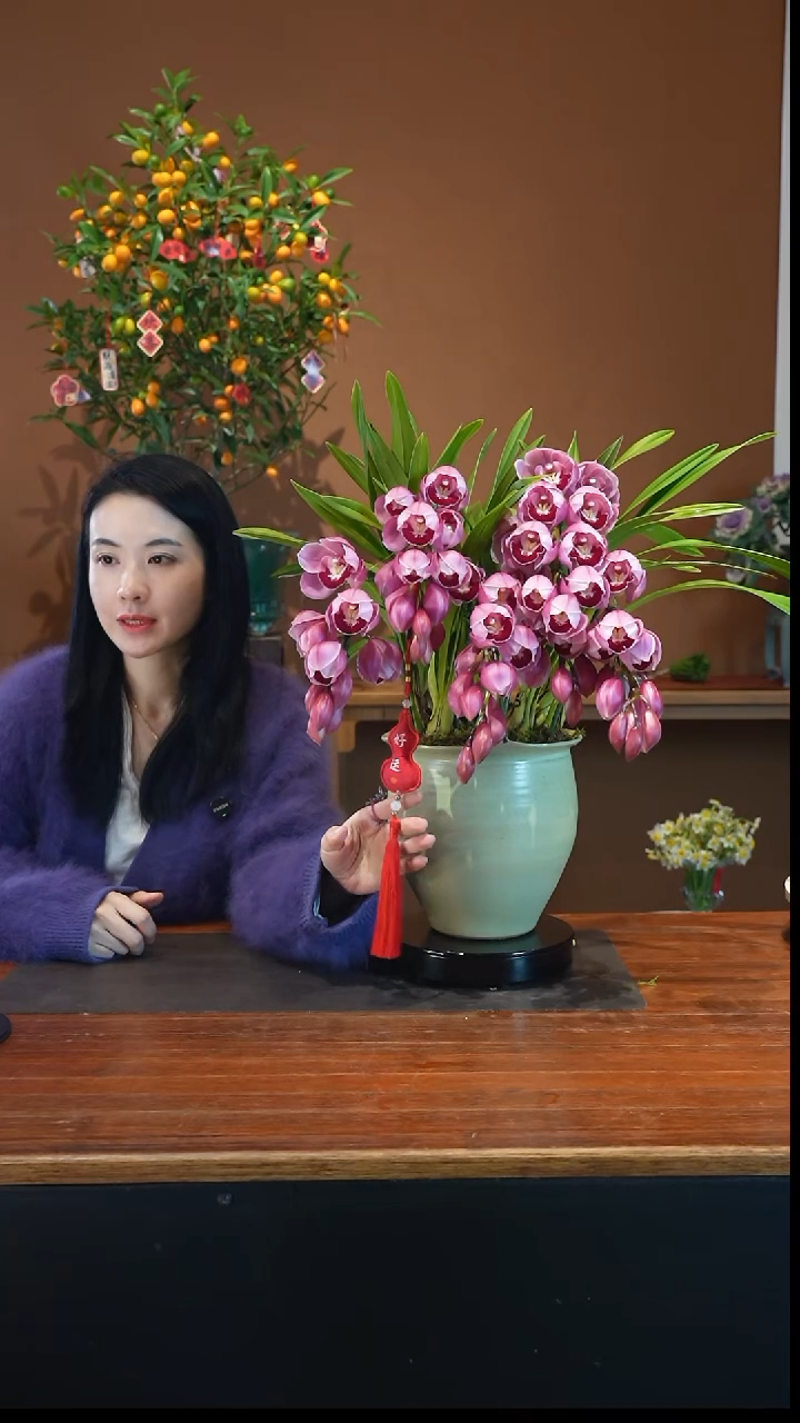 全部花朵红唇盆景盆景